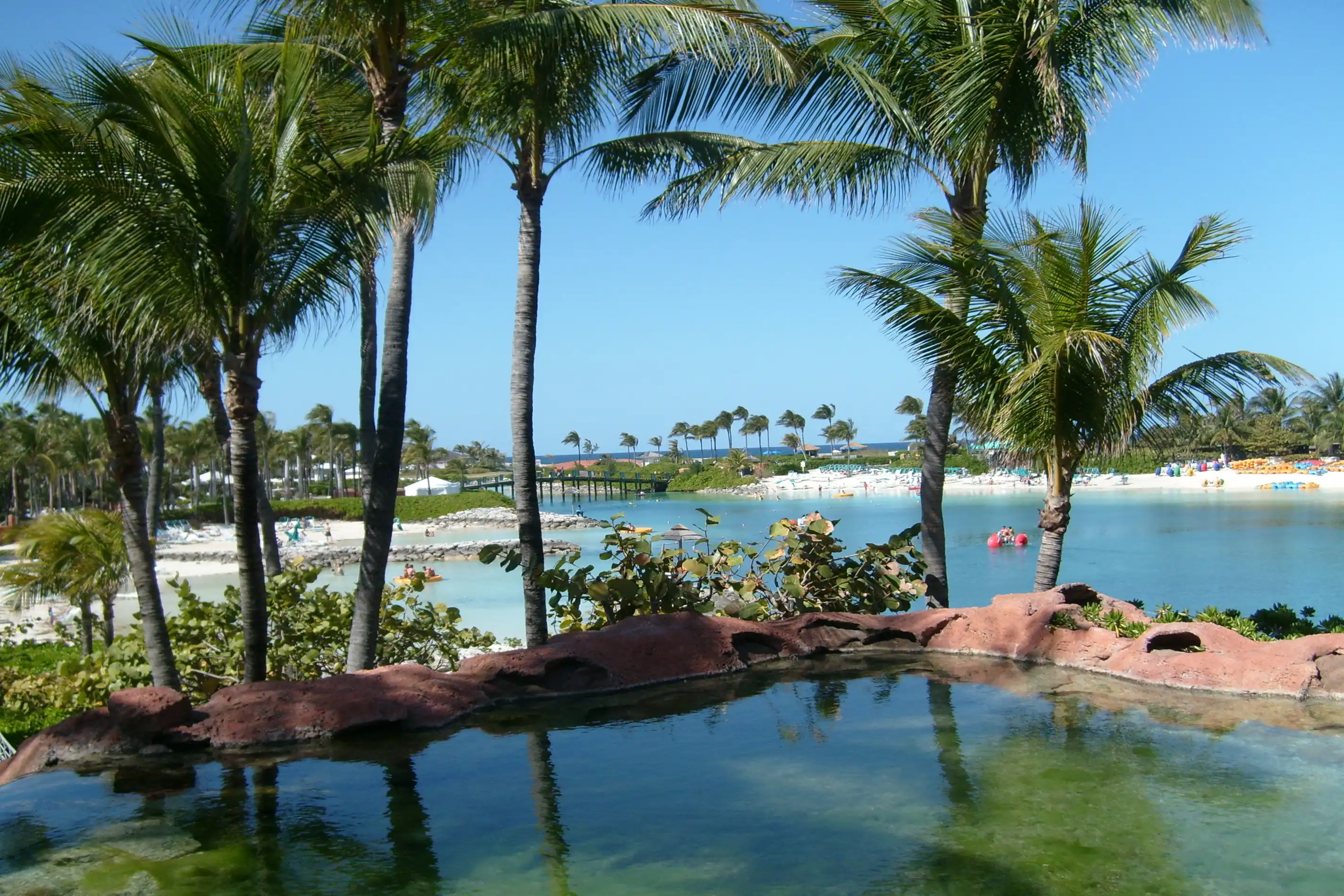 A swimming lagoon surrounded by palm trees with the ocean in the background