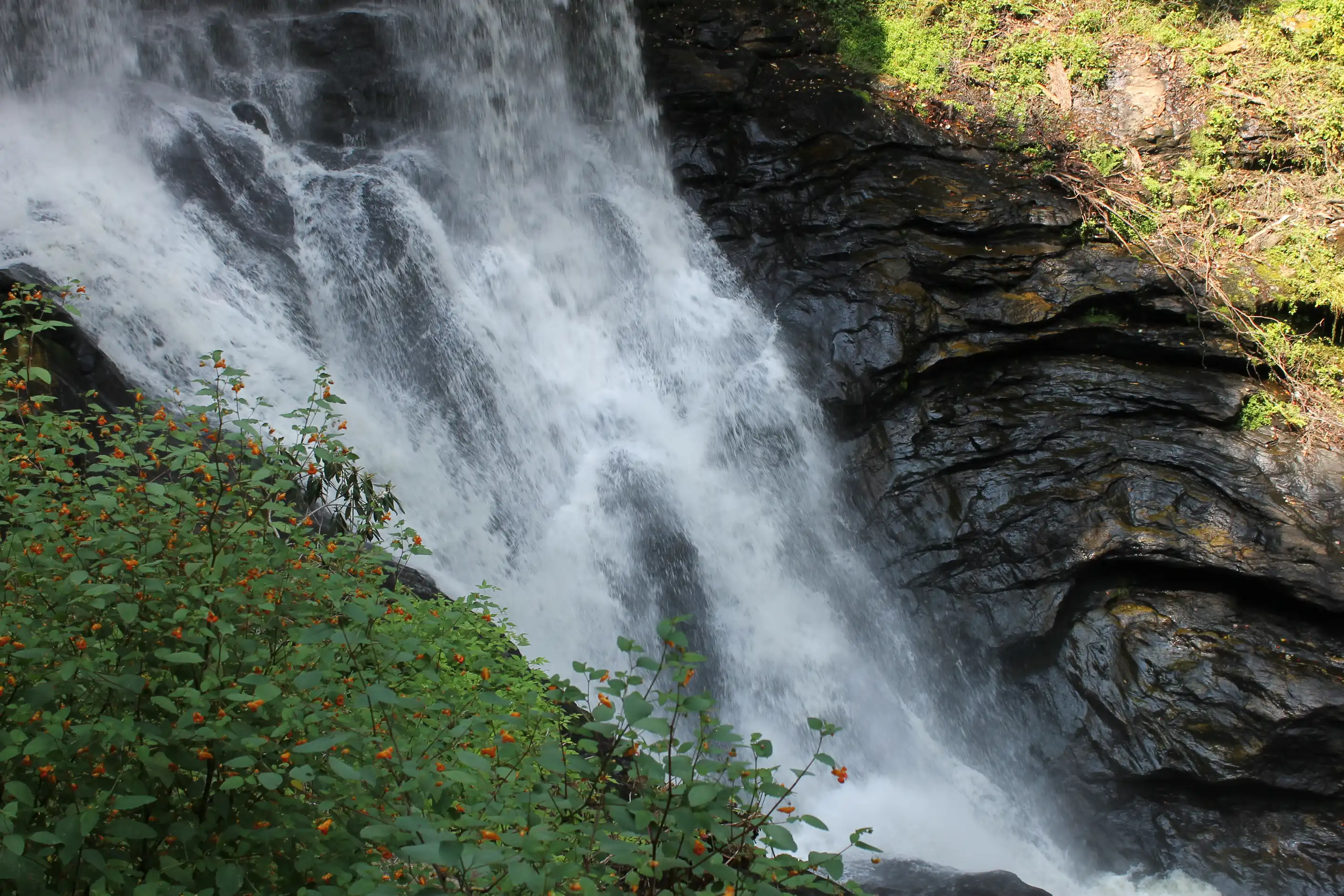 A waterfall surrounded by water eroded rocks in a strange pattern with a flowering bush in the foreground