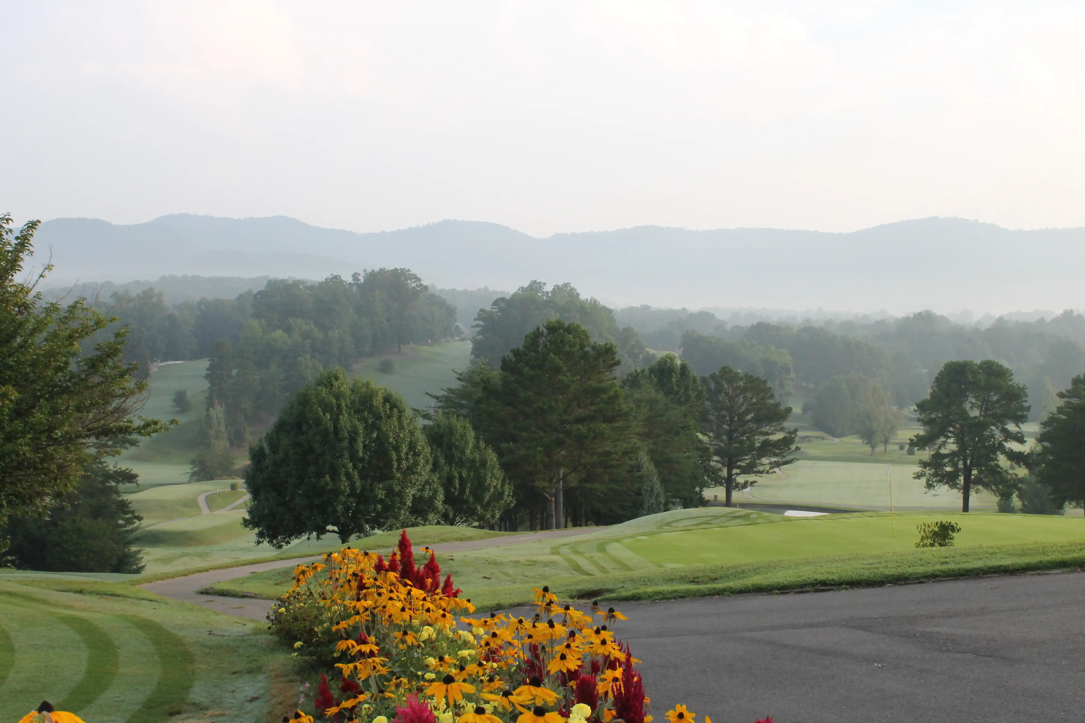 A golf course with many trees shrouded in fog and some bright flowering bushes in the foreground