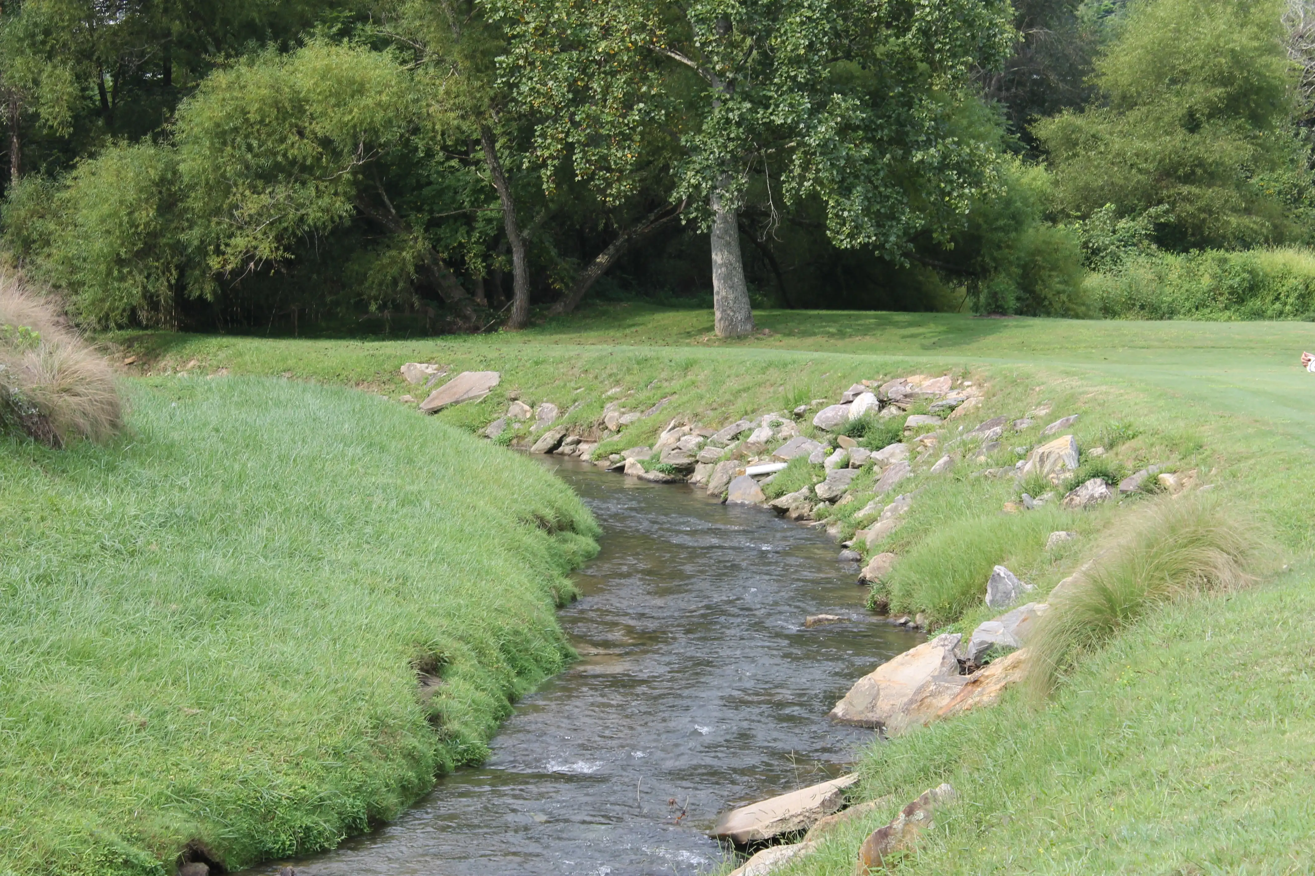 A small creek running off into some woods