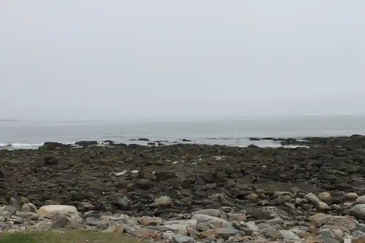 A rocky shore with the ocean mostly shrouded in fog beyond it