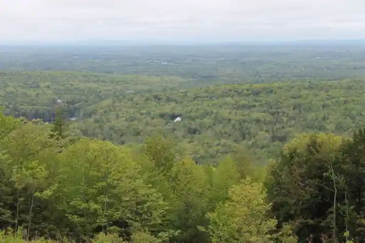 A vast forrest with a few houses seen from above on a hillside