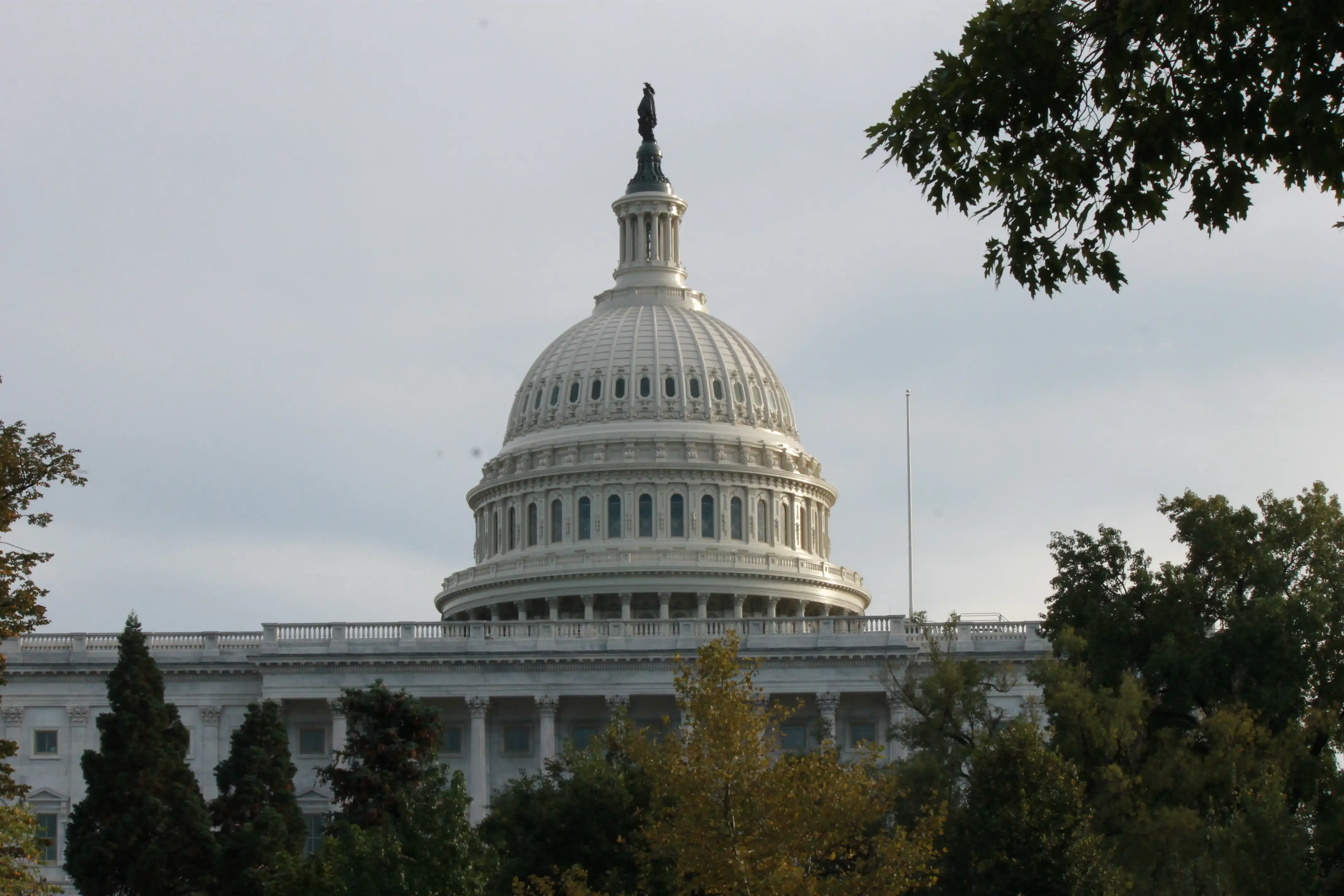 The Capitol building with a few trees in the foreground