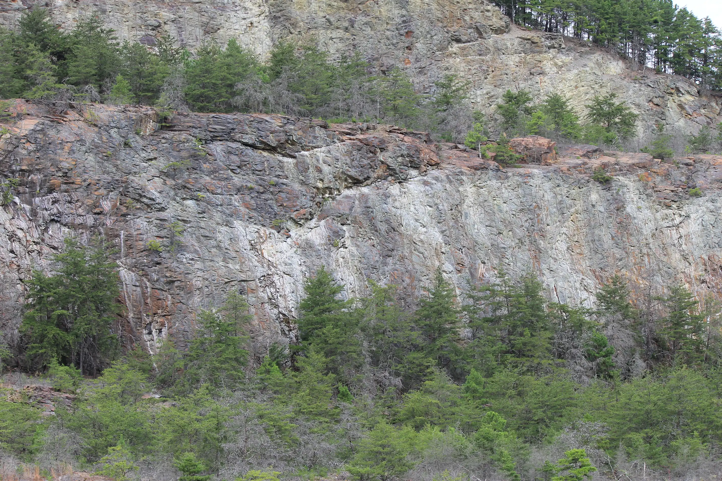 A partially tree covered tiered mountainside