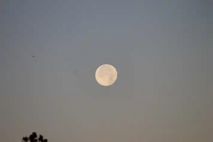 A full moon against a pale pink sky with a small plane flying towards it