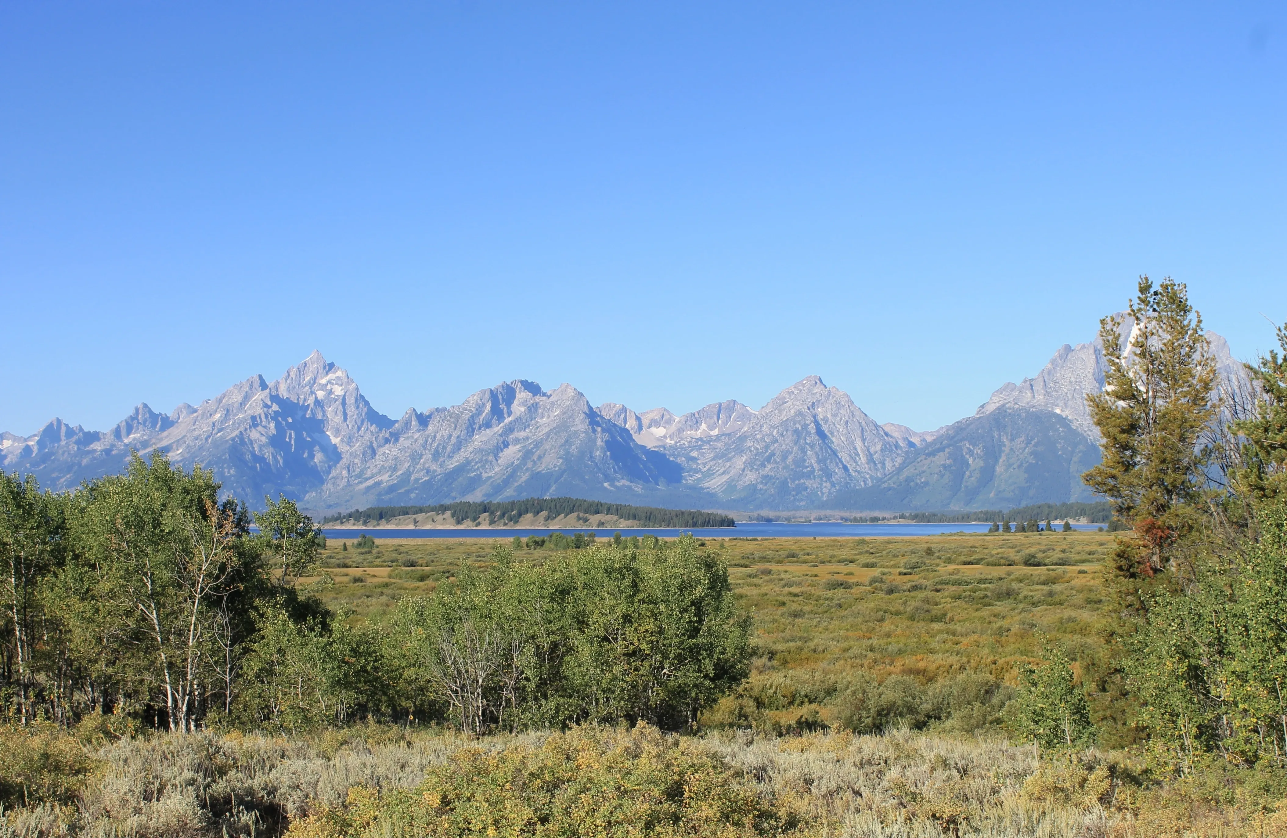 a large mountain range beyond a sparse plain